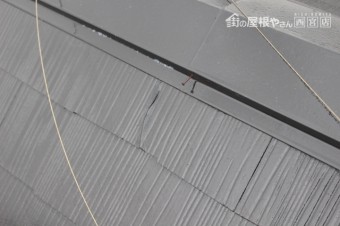 カラーベスト修理下見5