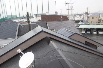 カラーベスト修理下見2