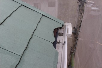 屋根修理4