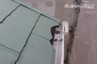屋根修理4