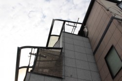 尼崎市テラス屋根修理1