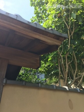 屋根