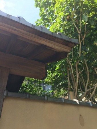屋根
