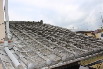 伊丹市雨漏り調査6