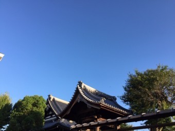 お寺の屋根