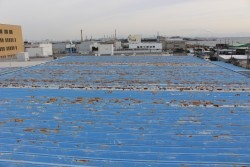 工場屋根塗装施工前1