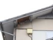 軒天修理前1