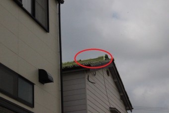 宝塚市瓦落下現場2