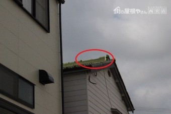 宝塚市瓦落下現場2