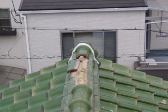 宝塚市瓦落下現場1