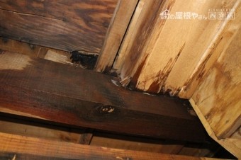 伊丹市雨漏り調査3