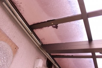 カーポート屋根修理5