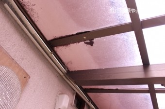 カーポート屋根修理5