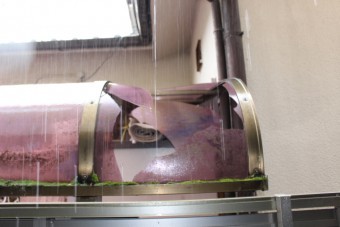カーポート屋根修理1
