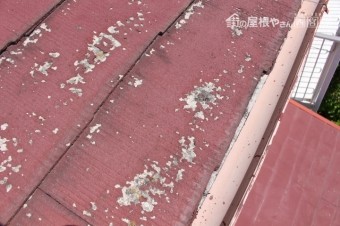 屋根現場調査川西市1