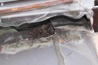 芦屋市雨漏り調査7