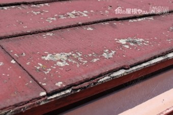 屋根現場調査川西市5