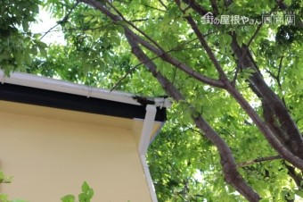 雨樋修理現場調査4