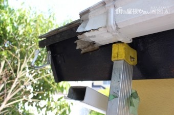 雨樋修理現場調査3
