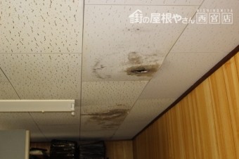 雨漏り