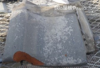 庭に瓦が落ちていた