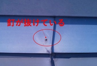 西宮市 屋根材釘抜き