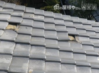 2枚瓦が落ちている