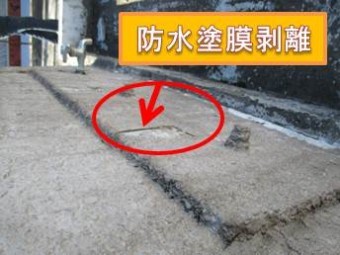 西宮市陸屋根
