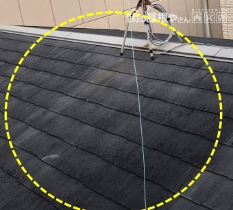 屋根が白くなっている