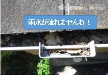 落ち葉集水器溜まる