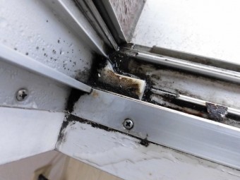 窓廻りカビ