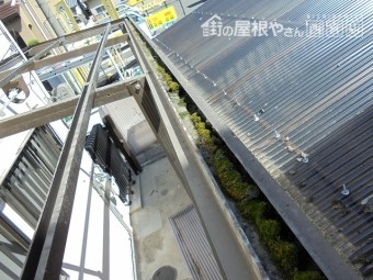 テラス屋根交換工事4