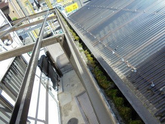 テラス屋根交換工事4