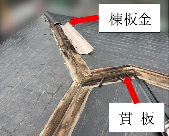 西宮市│棟板金の貫板が傷む原因と交換の目安をわかりやすく解説する外装メンテナンス情報