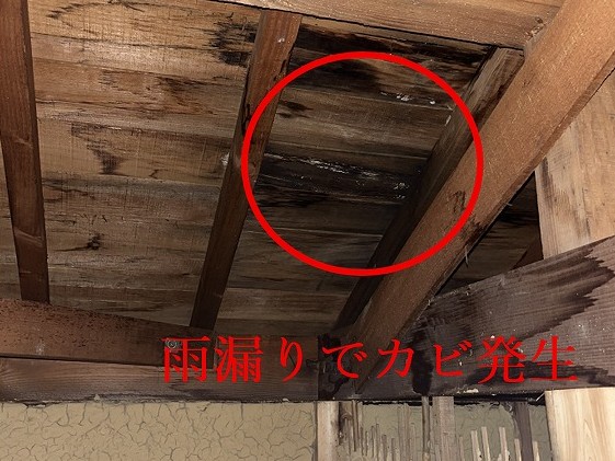 西宮市|天井の張り替え前に注意!見えない雨漏りリスクと屋根点検の重要性