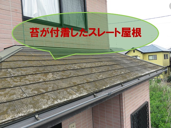 スレート屋根 苔