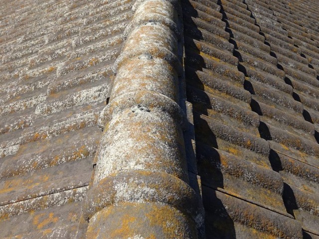 西宮市｜屋根の不安が自然と消えた人の共通点とは？後悔しない考え方3つ