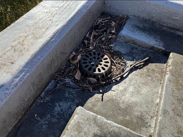 屋上ドレン落ち葉