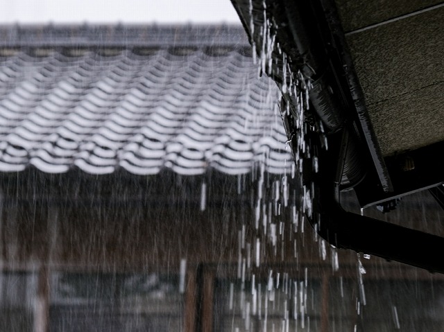 雨水