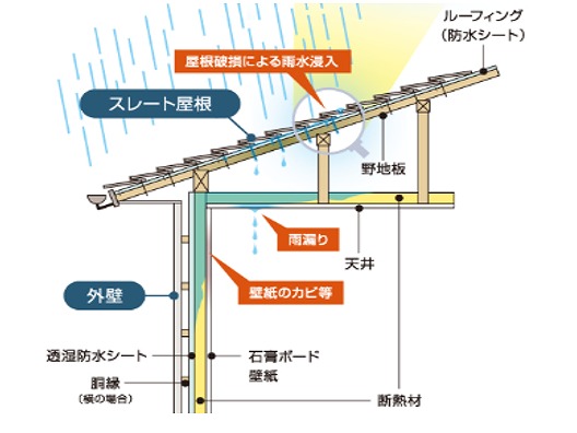 西宮市｜雨漏りはなぜすぐ特定できない？原因が一箇所とは限らない理由と正しい調査方法