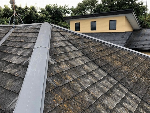 スレート屋根　苔