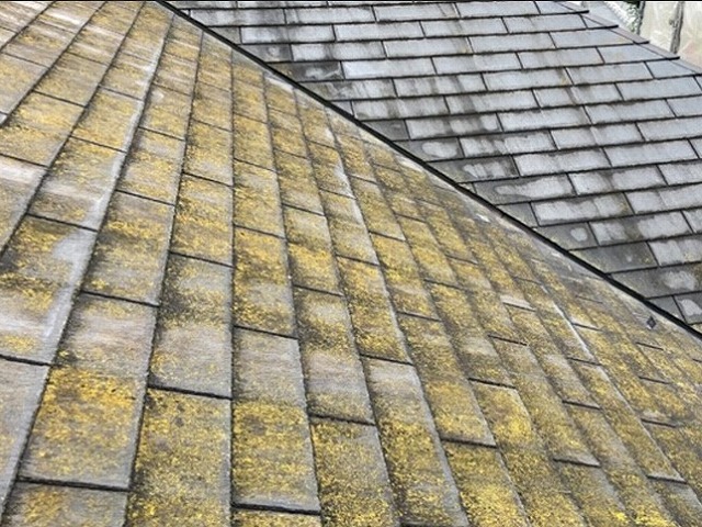 スレート屋根　苔