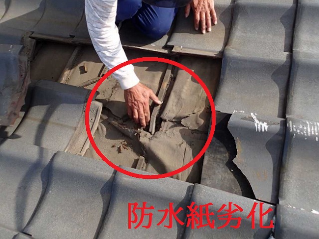 防水紙劣化