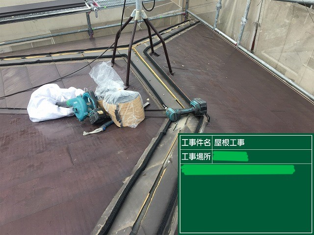 シーラー