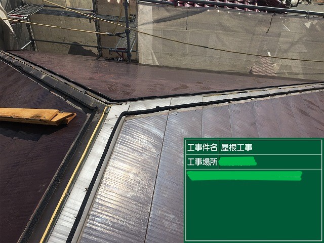 シーラー