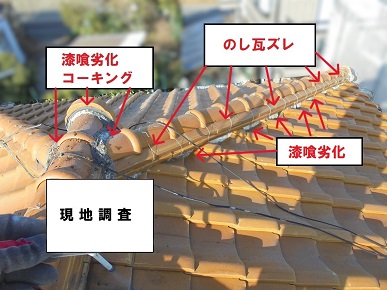 現地調査