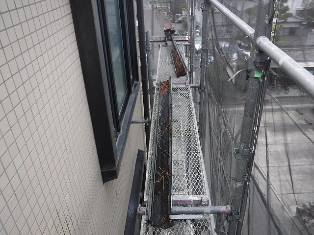 樋内部の落ち葉堆積