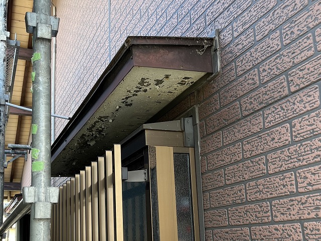 庇