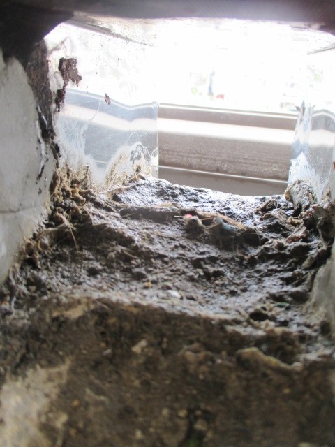 西宮市にて三階住宅バルコニー排水部分周辺にこびりついた汚れ