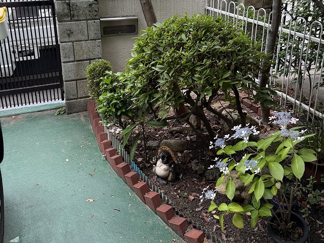 花壇横の土間状況